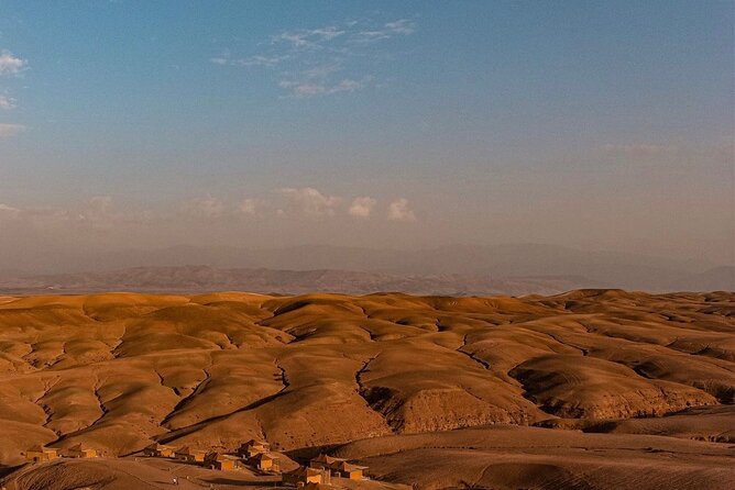 Dinner Under the Stars Desert Agafay & Sunset Camel Ride - Group Size and Tour Operator