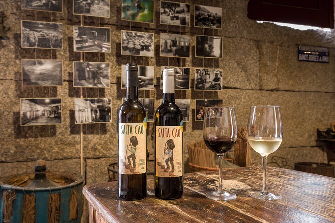 Douro & Vinho Verde: Family Wineries Private Tour in Portugal - Authentic Winemaking Experience