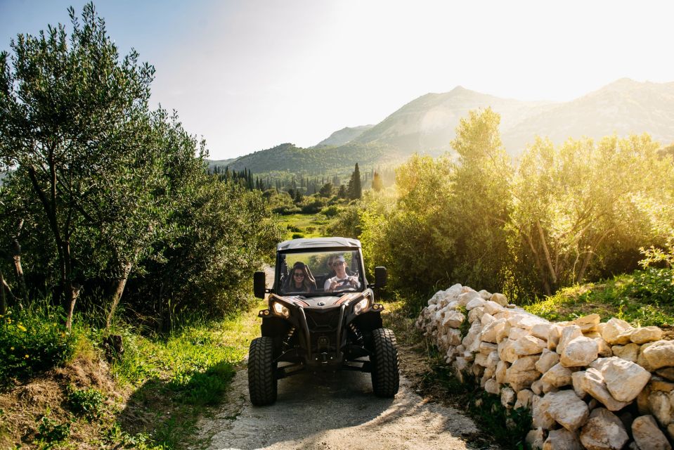 Dubrovnik: Private Buggy Safari Guided Tour (3 Hours) - Participant Requirements