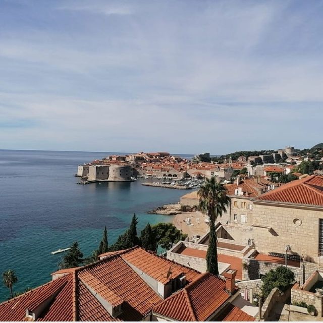 Dubrovnik: Private City Panorama Tour - Customer Feedback