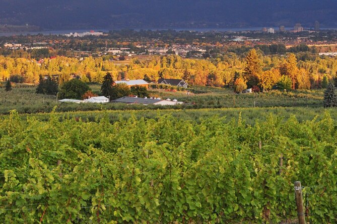 East Kelowna Wineries Tour - Recommended Travelers