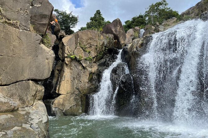 El Yunque Rainforest Hike and Luquillo Beach Tour - What to Bring