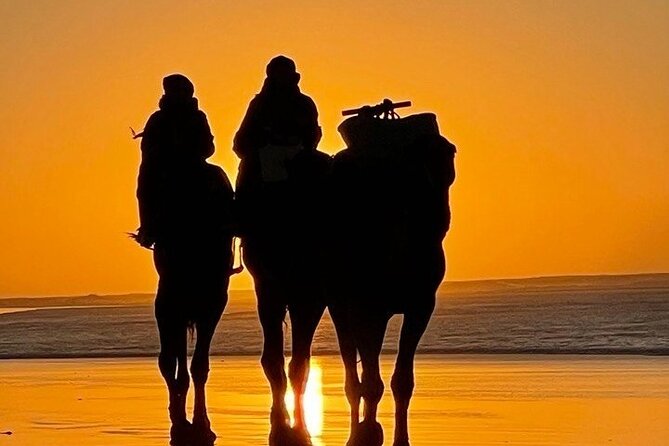 Essaouira 1 Hour Discovery Ride on the Back of a Camel - Tour Highlights and Features