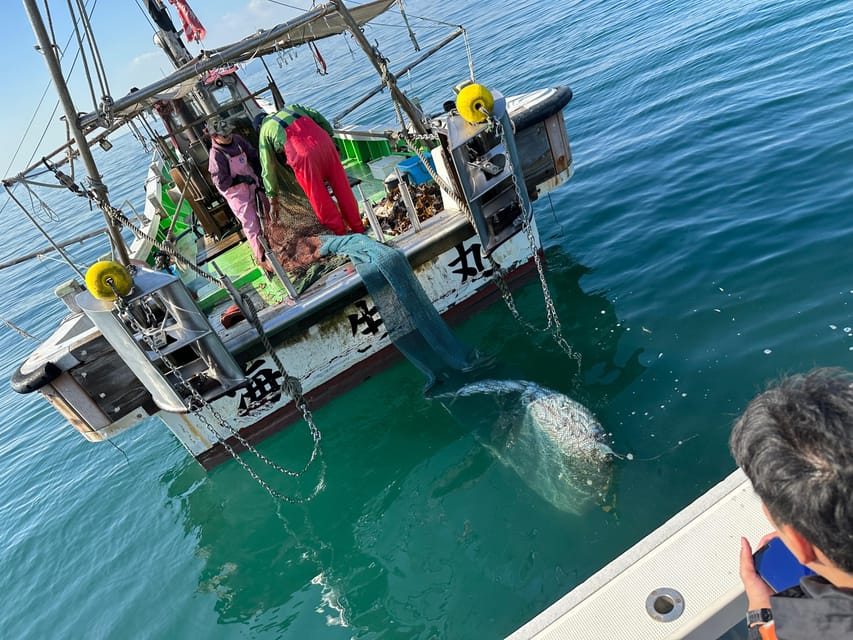 Fishing on a Fishing Boat & Bottom Trawl Tour - Inclusions and Booking