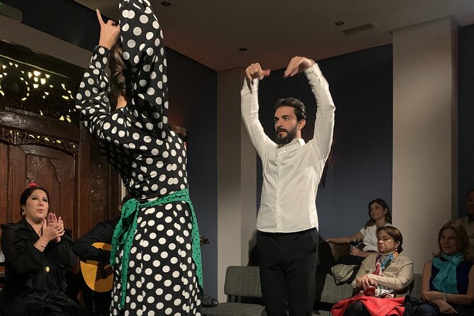 Flamenco Show in the Heart of Triana - Audience and Participant Information