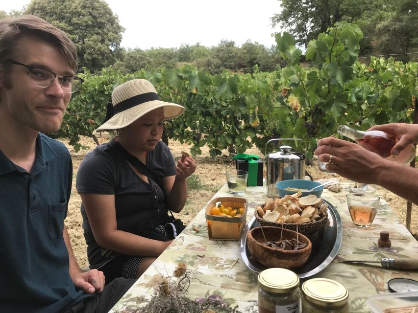 Foraging Fossils & Plants - Hiking in the Luberon