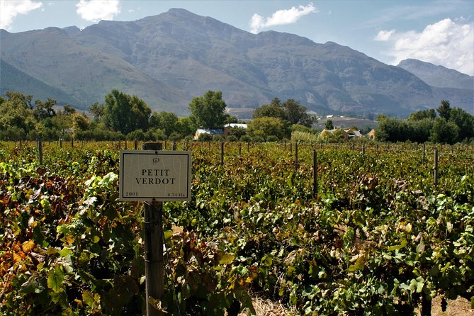 Franschhoek Cycle Experience Half Day - Private Tour - Tour Highlights