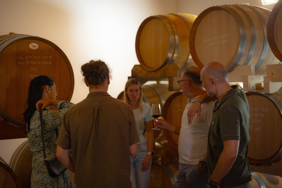 From Abano Montegrotto: Euganean Hills Guided Wine Tour - Inclusions and Exclusions