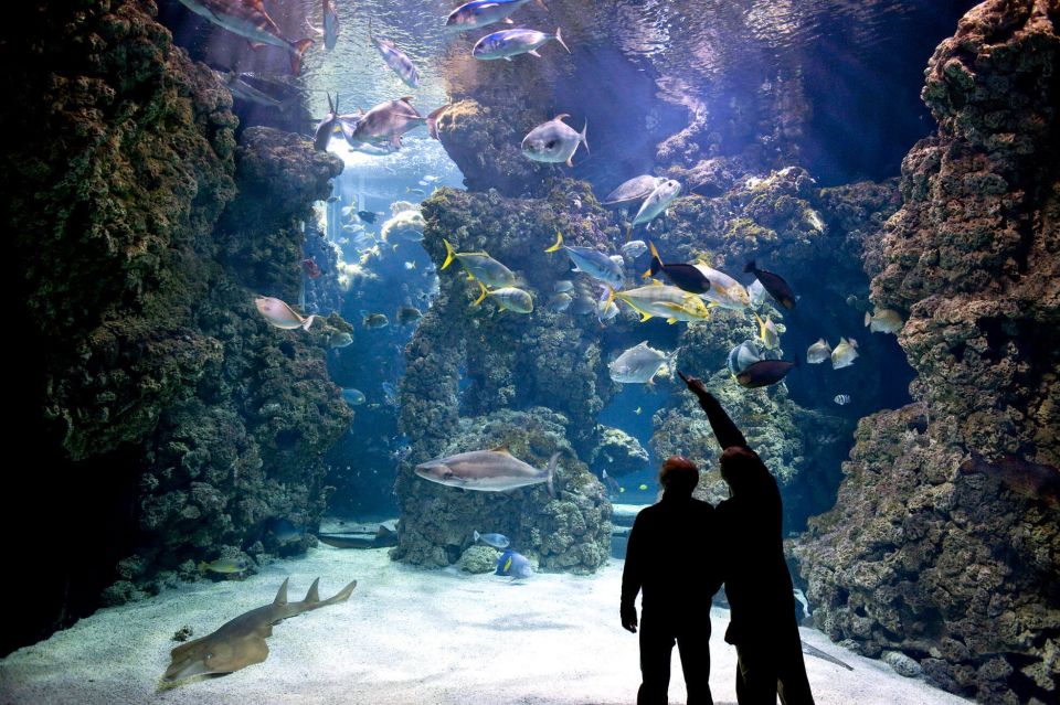 From City of Side: Antalya Aquarium Full-Day Trip - Duration and Cancellation Policy