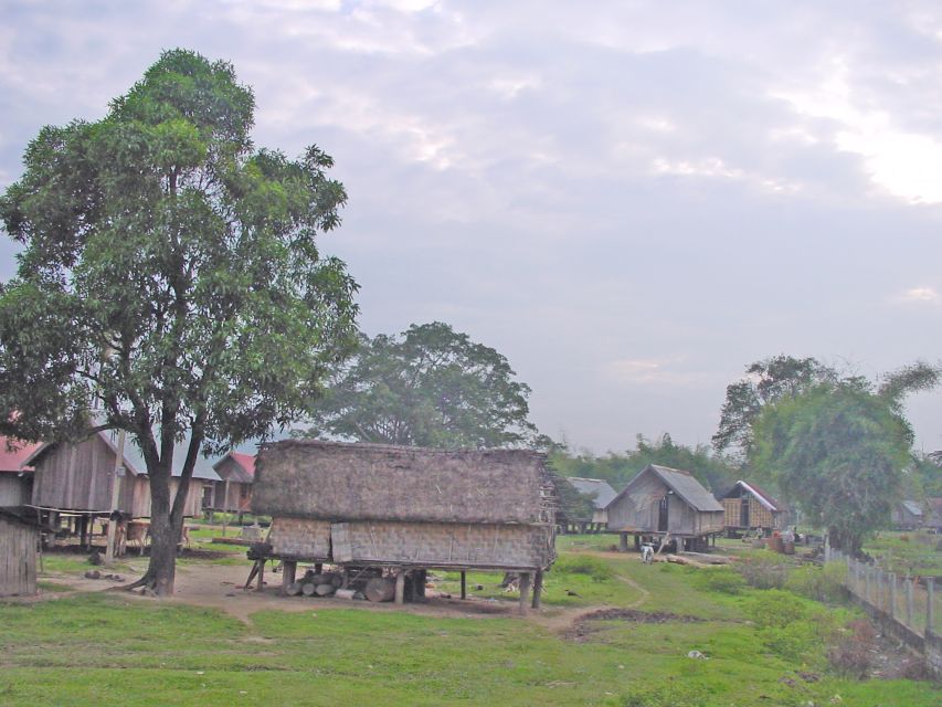 From Dalat: 4D3N Central Highlands Explorer Loop - Terraced Rice Paddies and Tea Farms