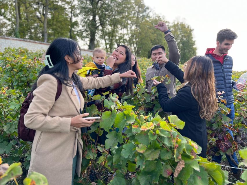 From Epernay: Afternoon Champagne Tour With 6 Tastings - Tasting the Champagnes