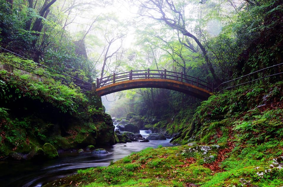 From Fukuoka: Miyazaki, Kumamoto Tour Review - Takachiho Shrine and Gorge