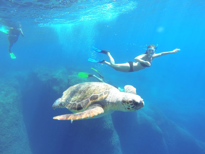 From Kas: Full-Day Private Kas Islands Sailing Trip - Caves and Shipwreck