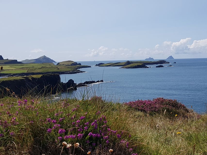 From Killarney: Ring of Kerry Mountain Road 1-Day Bus Tour - Feedback and Suggestions