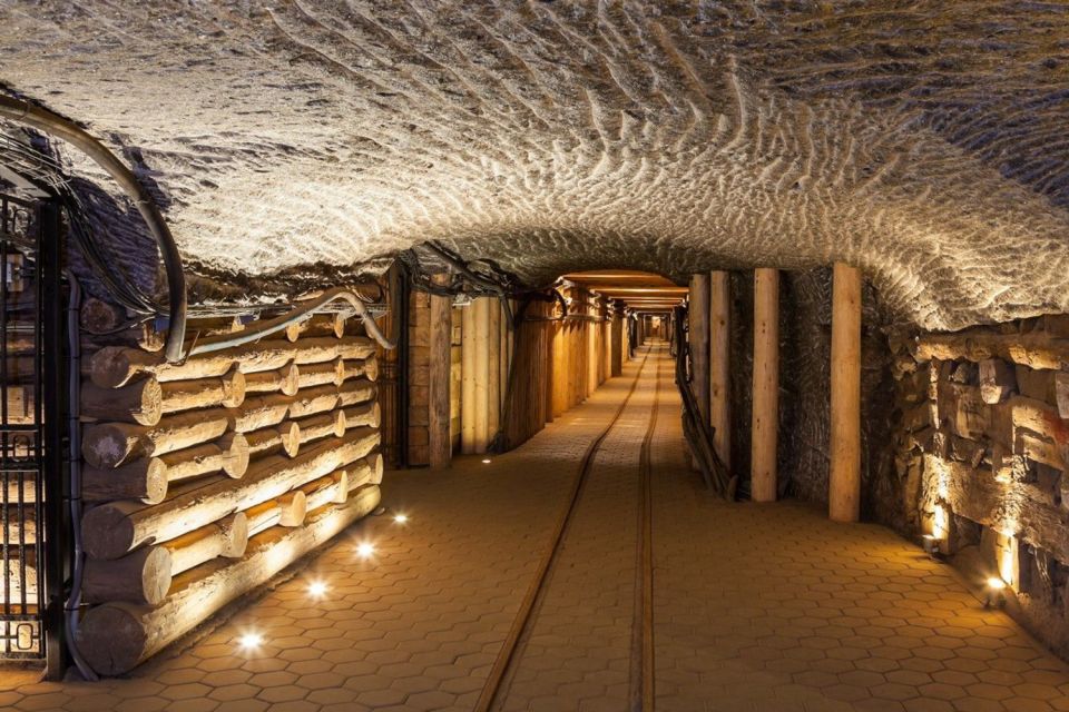 From Krakow: Auschwitz Birkenau and Salt Mine Guided Tour - Important Information