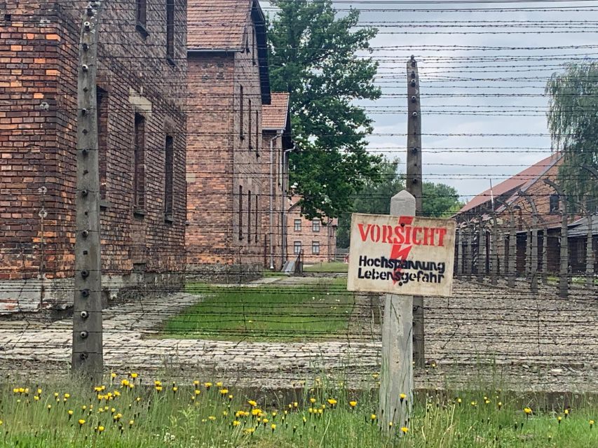 From Krakow: Guided Auschwitz-Birkenau Group Tour by Minivan - Customer Reviews and Feedback