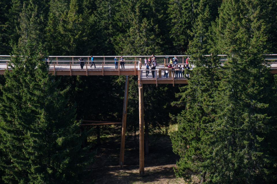 From Krakow: Slovakia Treetop Walk Bachledka Private Tour - Observation Tower Highlights