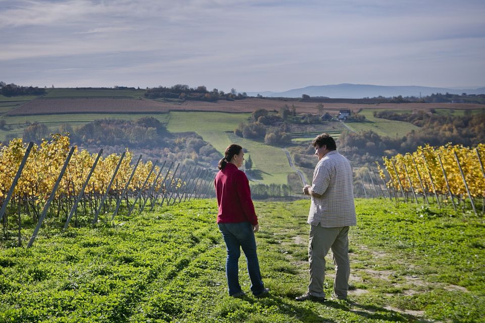 From Krakow: Wine Tasting at Vineyard - Booking Details