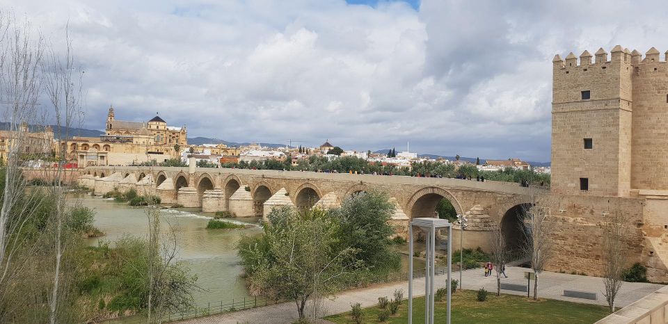 From Malaga: Cordoba Day Trip and Mosque-Cathedral - Transportation Options