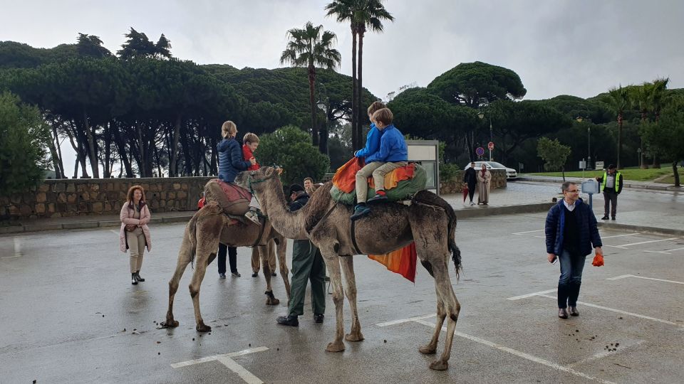 From Malaga: Tangier Day Tour With Bazaar Shopping and Lunch - Customer Reviews and Feedback