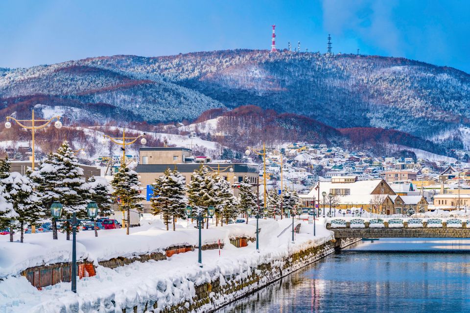 From Sapporo: 10-hour Customized Private Tour to Otaru - Explore Otarus Highlights