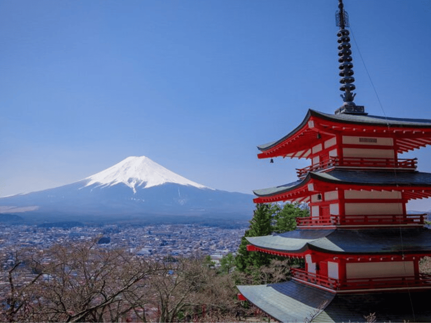 From Tokyo : Mount Fuji Private Day Tour With English Driver - Tour Inclusions