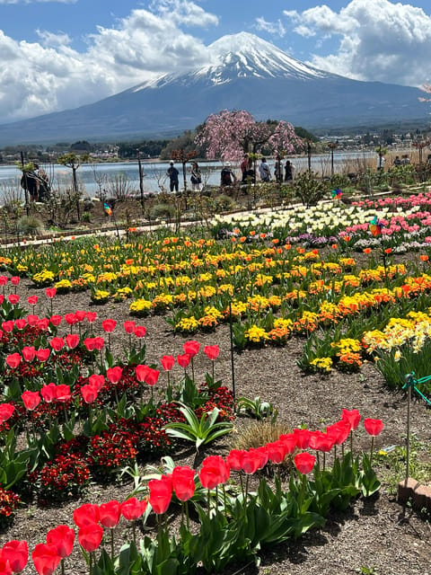 From Tokyo/Yokohama: Private Day Trip to Mt Fuji and Hakone - Mount Fuji Highlights