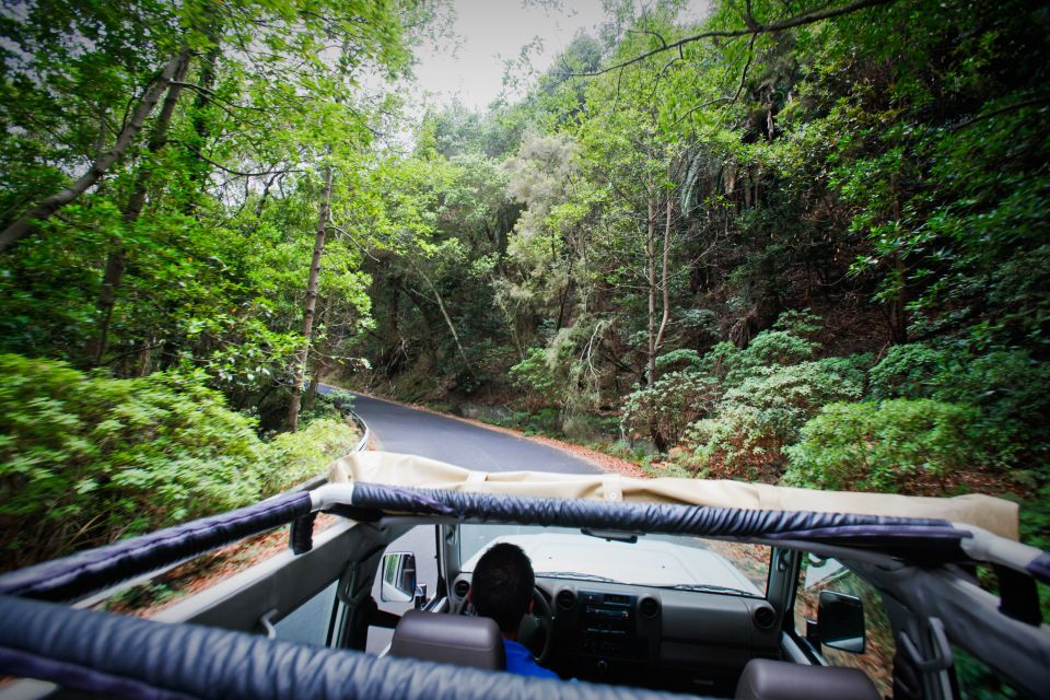 Full-Day Gomera Jeep Safari Excursion From Arona - UNESCO-protected Garajonay National Park