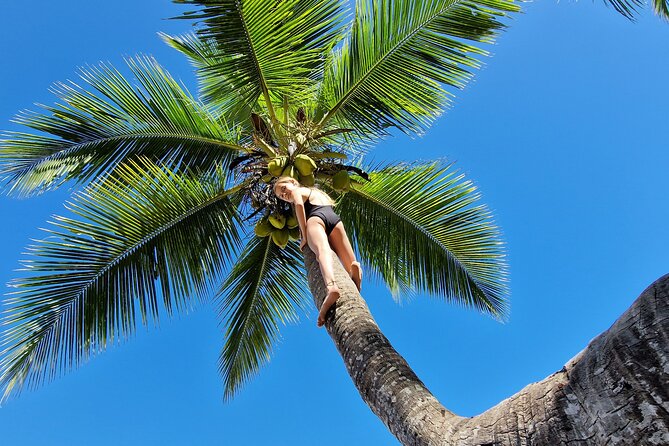 Full-Day Jungle Trek on Nosy Komba (Lemur Island) With the Black Lemur Sanctuary - Cancellation Policy