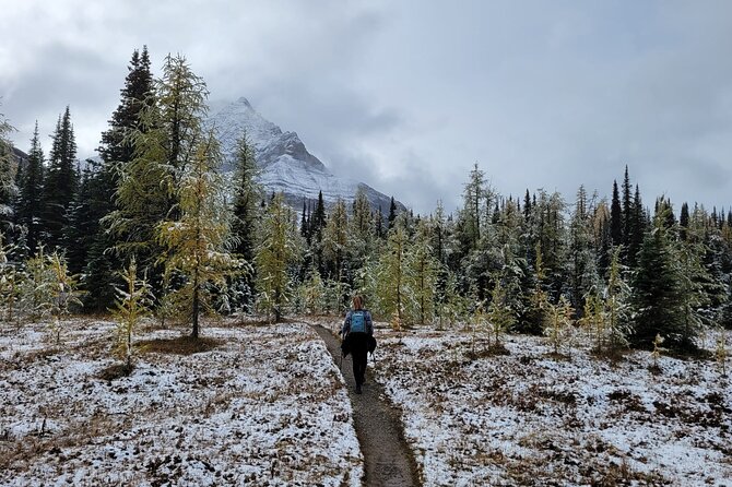 Full-Day Larch Hike, Departure From Banff - Hike Highlights