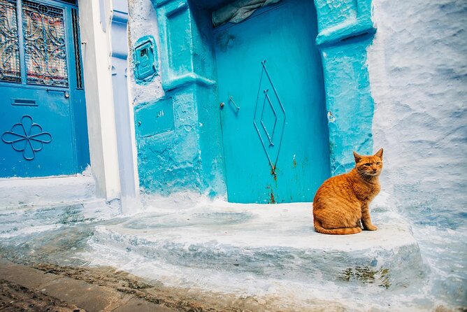 Full Day Private Trip to Chefchaouen the Blue City From Tangier - Additional Tour Information