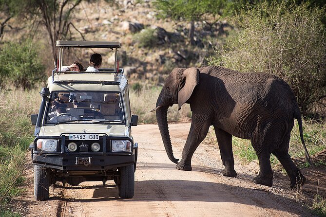 Full-Day Serengeti Tour From Mwanza - Booking and Reviews