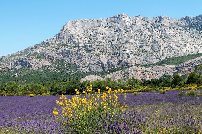 Full-Day Wine and Cheese Tour Around Aix-En-Provence From Marseille - Confirmation Details