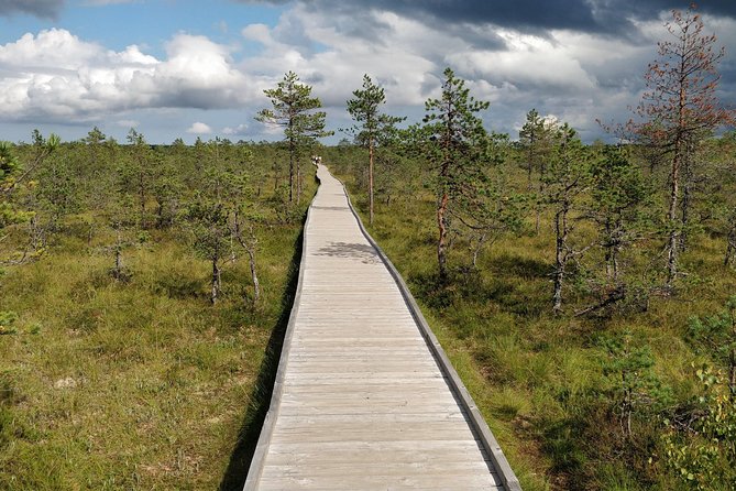 Go North – Private 1 Day Trip to Estonian Nature - Health Considerations