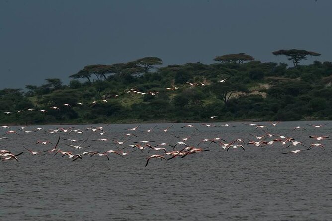 Great Migration Safari In Tanzania - Packing and Preparation