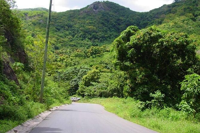 Half-Day Tour: A Taste of Paradise and History of Antigua - Scenic Viewpoints and Ruins