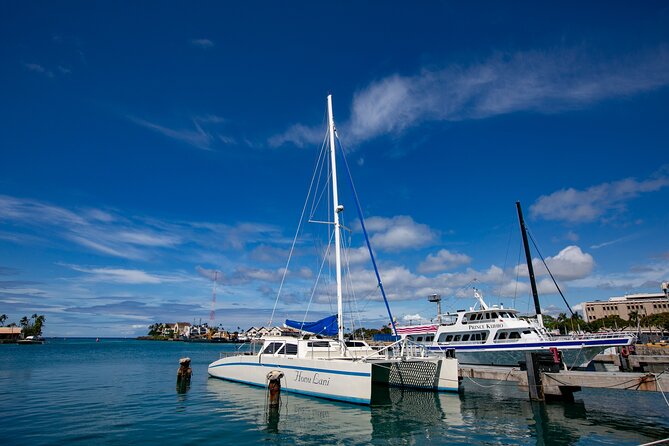 Hawaiian Sea Turtle Snorkel Sail From Waikiki With Lunch Included - Crew and Safety