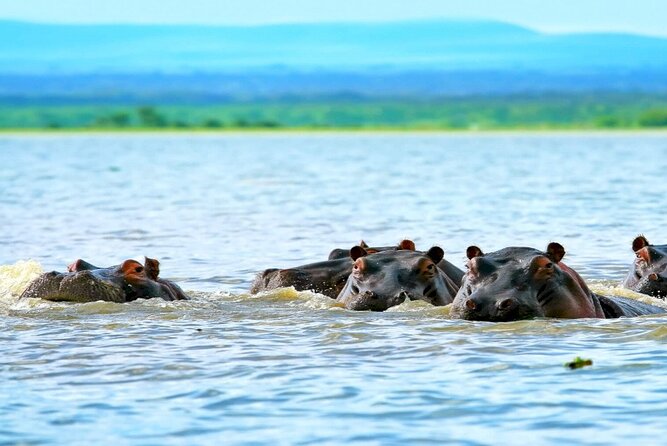 Hells Gate National Park Private Bike Tour From Nairobi - Pickup and Drop-off