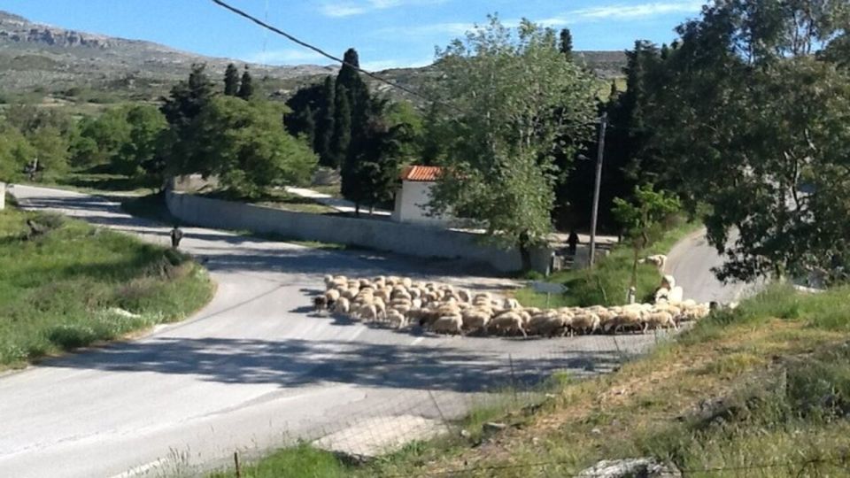 Heraklion:Cretan Villages With Patsos Gorge - Zaros and Byzantine Monasteries