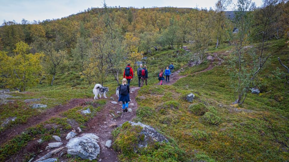 Hike to Orvvosfossen Waterfall - Whats Included in the Tour