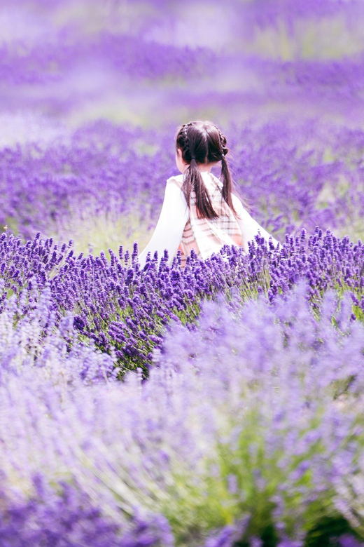 Hokkaido Furano Day Tour - Forest Spirit Terrace