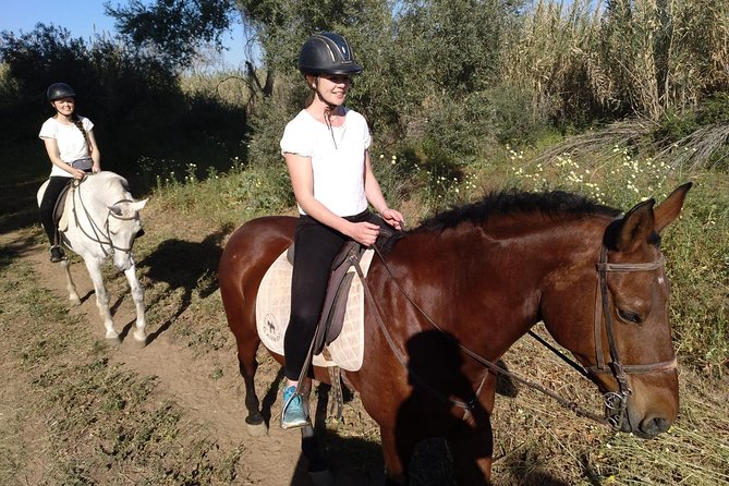 Horse Riding Excursion From Seville - Exploring Lush Forests