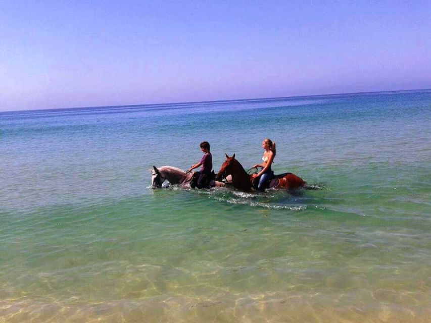 Horse Riding on the Beach With Private Transfer From Lisbon - Frequently Asked Questions