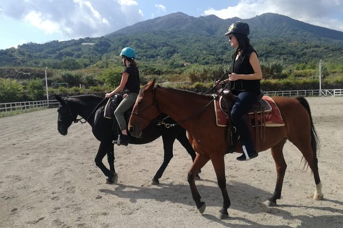 Horse Riding on Vesuvius - Tour Accessibility