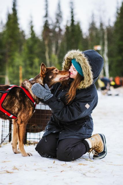 Husky Safari 1 Hour (10 Km) Small-Group Mushing Experience - Exploring the Dog Farm