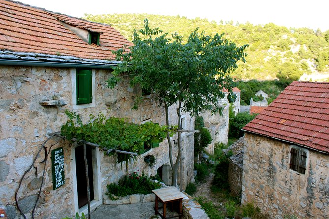 Hvar Small Group Wine Tour and Authentic Dalmatian Dinner - Exploring Hvar Vineyards