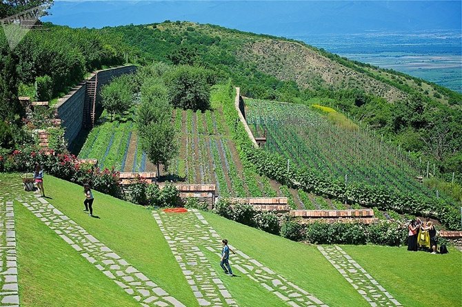 Kakheti: Signagi, Bodbe Monastery, Telavi, Wine Tour. Private Tour - Bread and Cheese Making