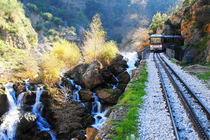 Kalavryta Cogtrain Ancient Corinth Private Tour From Athens/Nafplio - Accessibility and Participation