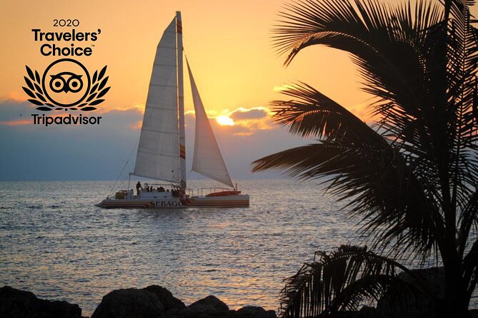 Key West Sunset Sail: Dolphin Watching, Wine, and Tapas - Departure, Duration, and Return