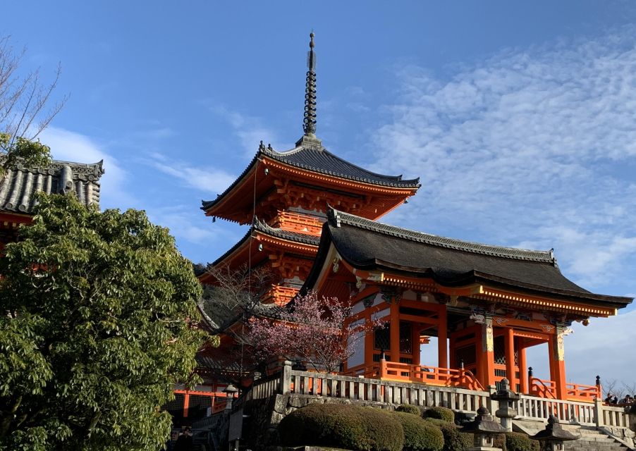 Kiyomizu Temple and Backstreet of Gion Half Day Group Tour - Inclusions